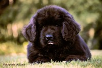 /album/fotogalerij1/marielle-8-jpg/